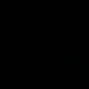 Meet your Posher, Starr